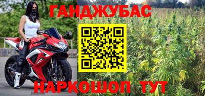 бошки Гай