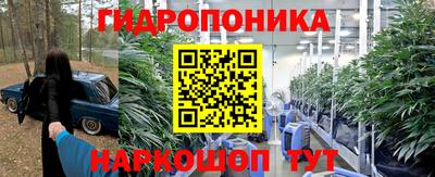 Альфа ПВП Гатчина