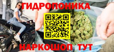Альфа ПВП Гатчина