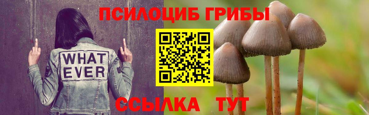 Назарово  Галлюциногенные грибы прущие грибы  Вход с VPN 